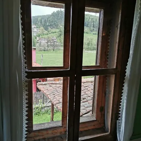 Hadji Neikovi 코프리브시티차