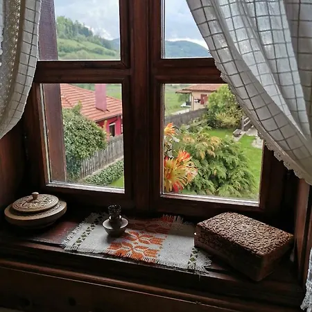게스트하우스 Hadji Neikovi
